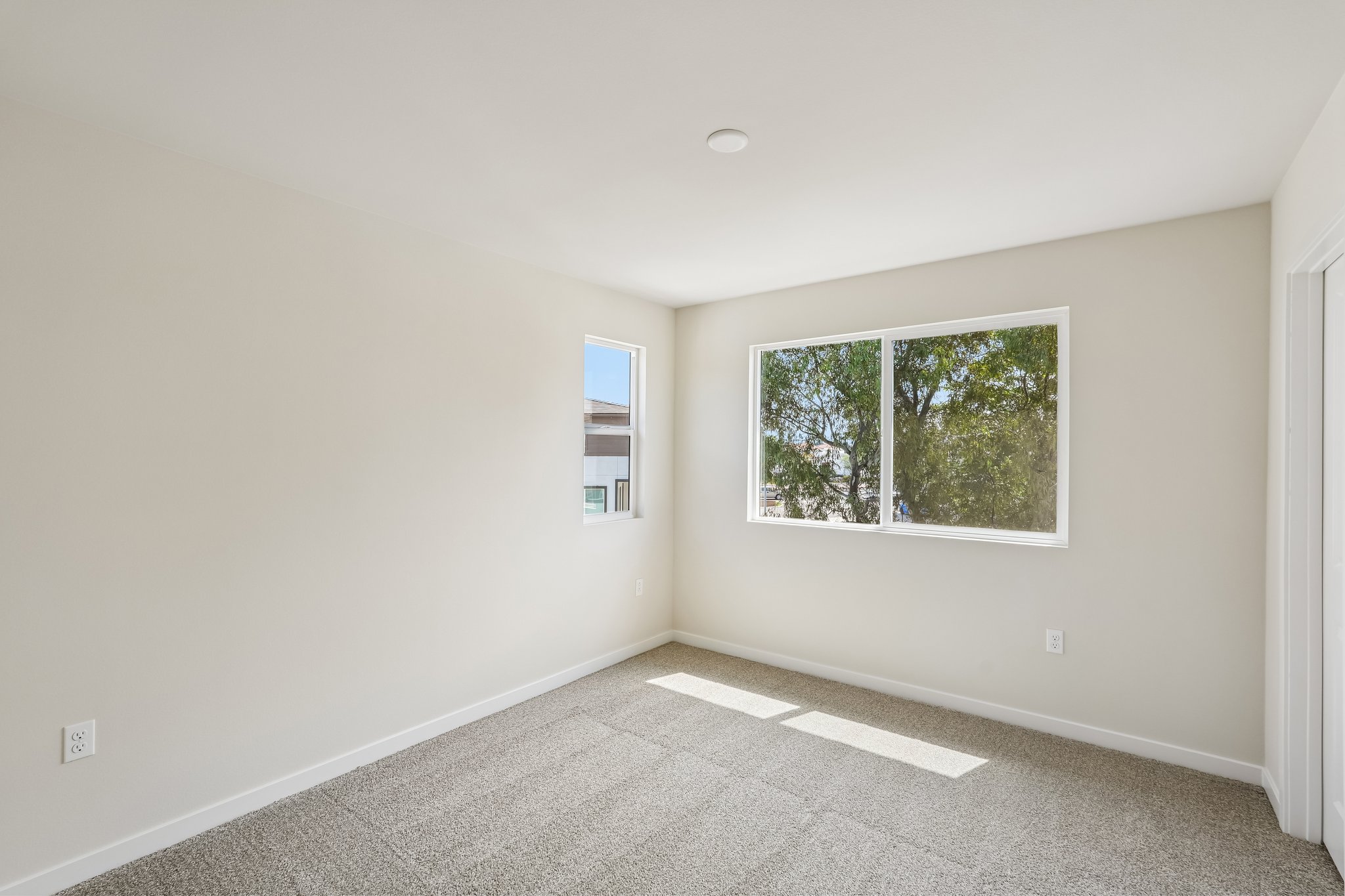 A room with windows and a carpet.