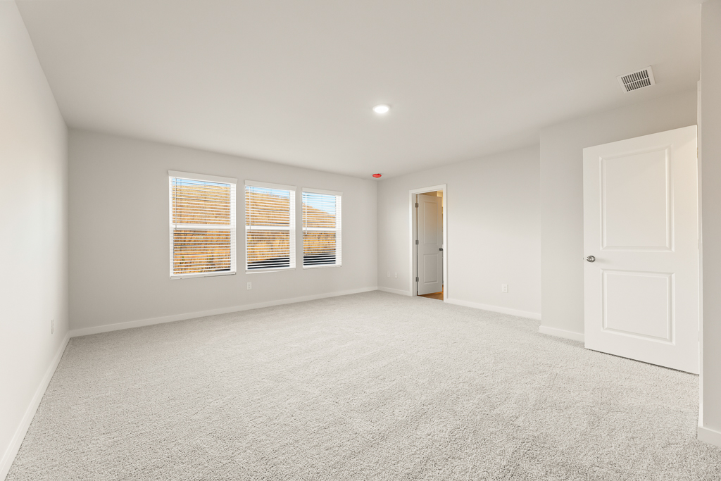 A room with a carpet and windows.