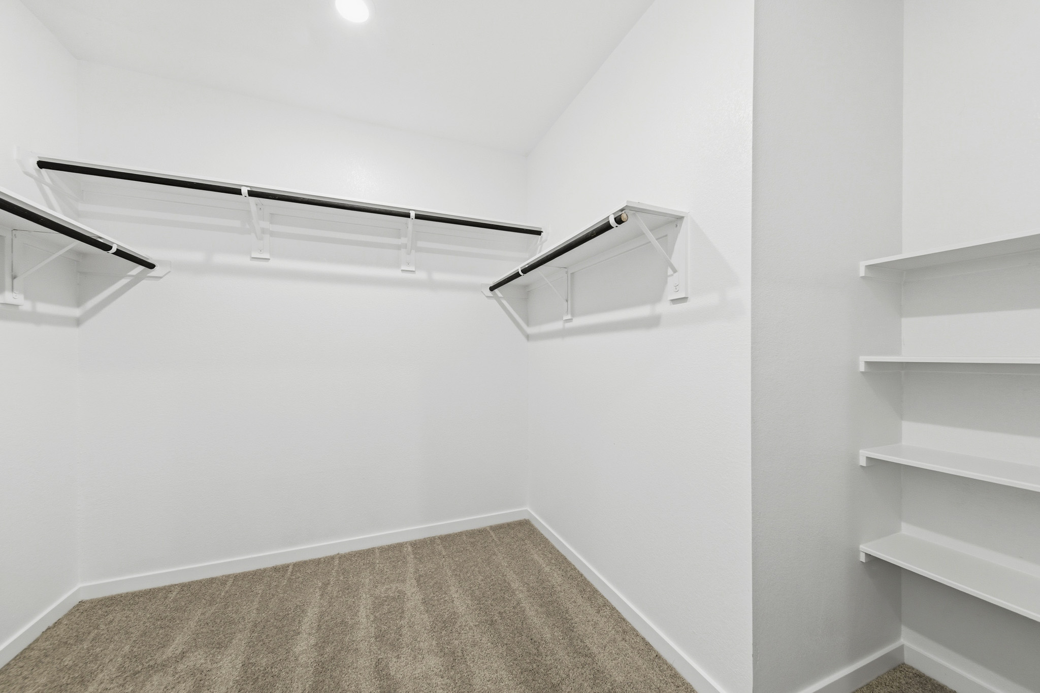 A white room with a rug and shelves.