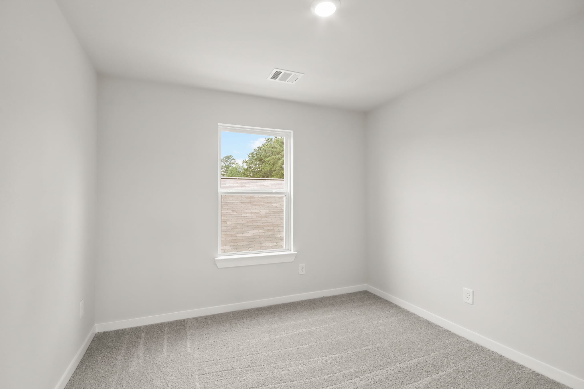 A room with a window and a rug.