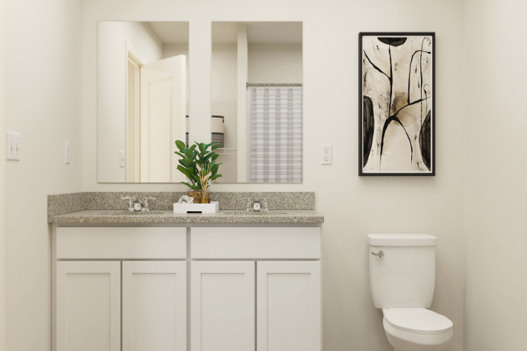 A bathroom with a plant on the counter.