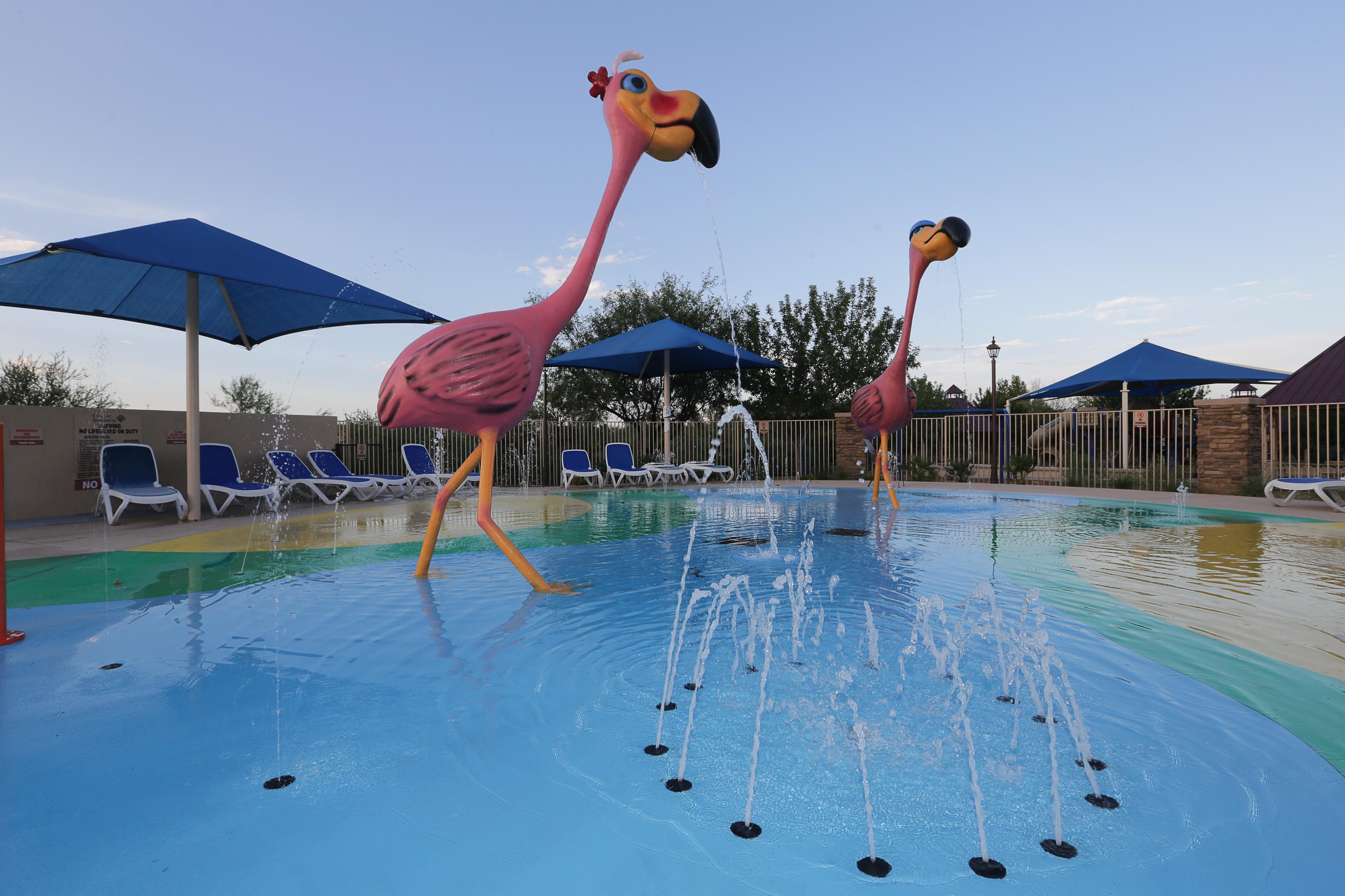 A couple of dolphins jumping out of a pool.
